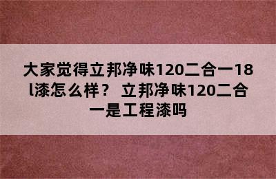 大家觉得立邦净味120二合一18l漆怎么样？ 立邦净味120二合一是工程漆吗